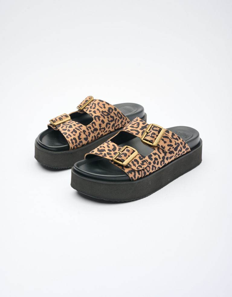 נעלי נשים - Rollie - כפכפים ACE ANIMAL - נמר2