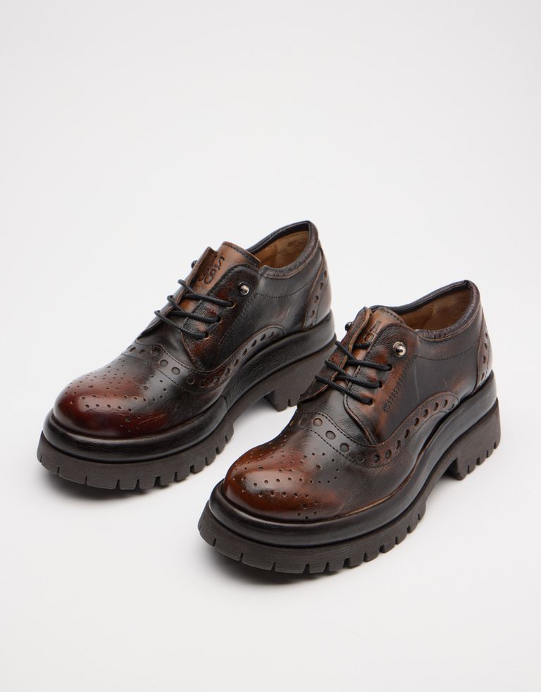 נעלי נשים - A.S. 98 - נעליים עם שרוכים DIBLA - חום1